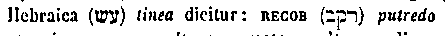 [Hebrew Text]