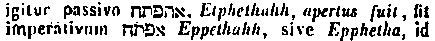 [Hebrew Text]