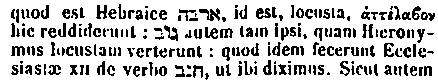 [Hebrew Text]