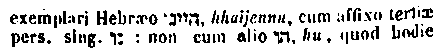 [Hebrew Text]