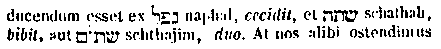 [Hebrew Text]