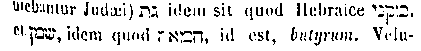 [Hebrew Text]