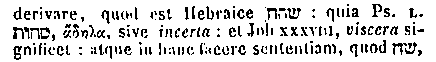 [Hebrew Text]
