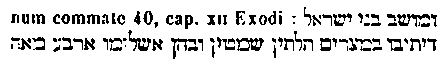 [Hebrew Text]