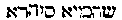 [Hebrew Text]