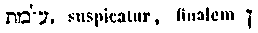 [Hebrew Text]