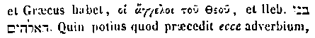 {Hebrew text]