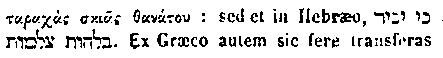 {Hebrew text]