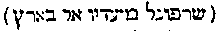 {Hebrew text]