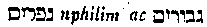 [Hebrew Text]