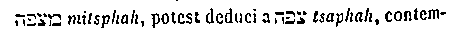 [Hebrew Text]