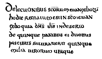 [No 3. Codex amplissimi capituli Veronensis sub no 49.]