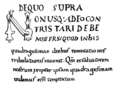 [No 4. Codex Urbevetanus apud em. card. de Zelada, pag. 65.]