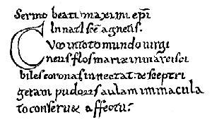 [No 8. Codex bibl. Vaticanae, olim Christinae Suecorum reginae no 1025, pag. 132.]