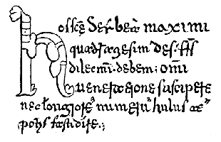 [No 13. Codex bibl. Vallicell. no 19, pag. 123.]