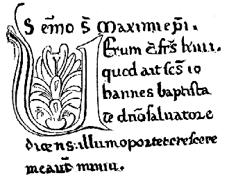 [No 15. Codex bibl. Vallicell. no 6. pag. 57.]