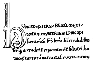 [No 16. Codex bibl. Vaticanae no 19, pag. 123.]