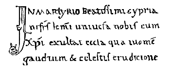 [No 22. Code ampliss, capituli Veronen. no 75.]