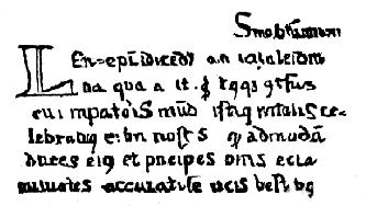 [No 27. Codex bibl, Lovaniensis.]