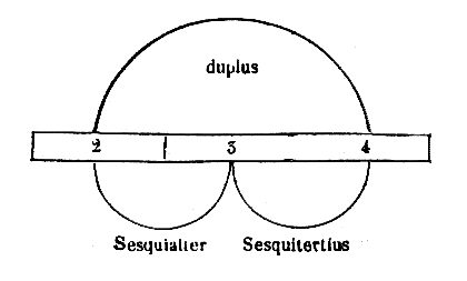 [Figura]
