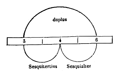 [Figura]