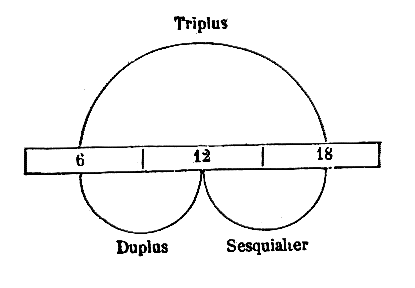 [Figura]