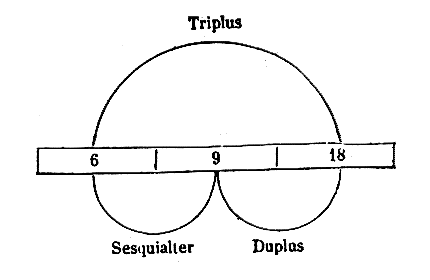 [Figura]