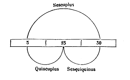 [Figura]