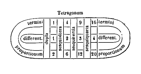 [Figura]