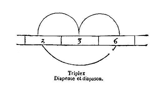 [Figura]