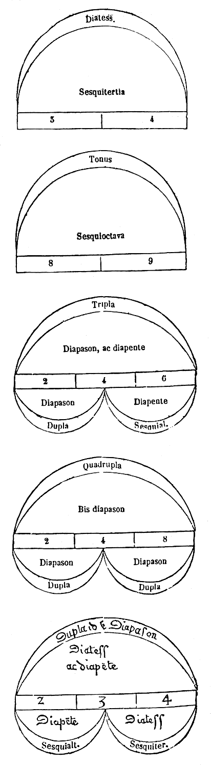 [Figura]