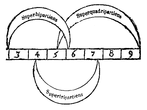 [Figura]