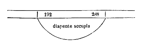 [Figura]