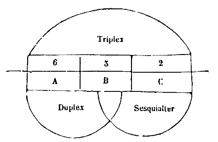 [Figura]