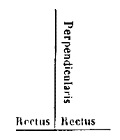 [Figura]