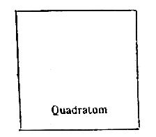 [Quadratum]