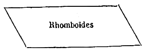[Rhomboides]