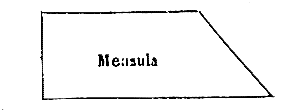 [Mensula]