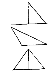 [Figura]
