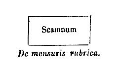 [Figura]