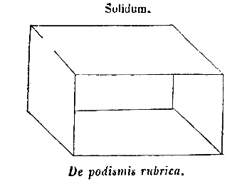 [Solidum]