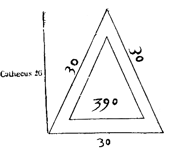 [Figura]