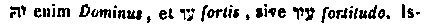 [Hebrew Text]