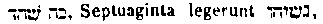 [Hebrew Text]
