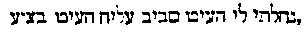 [Hebrew Text]