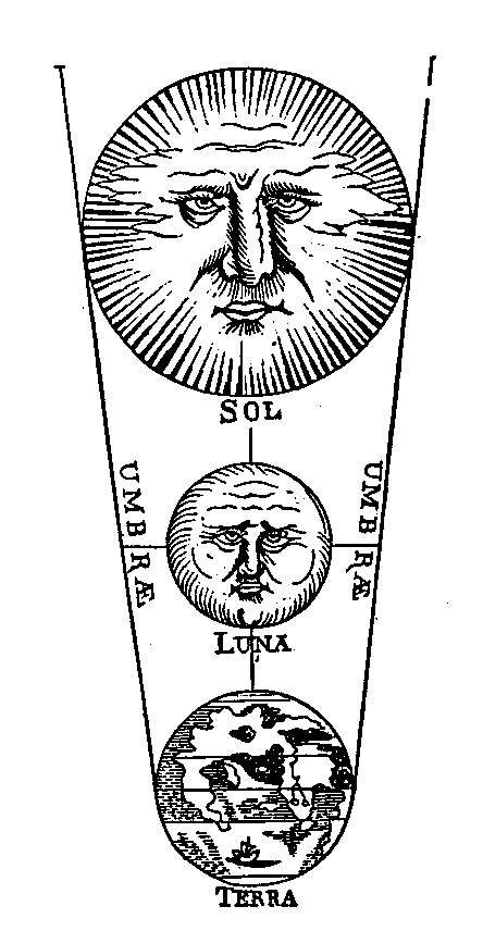 [Figura]