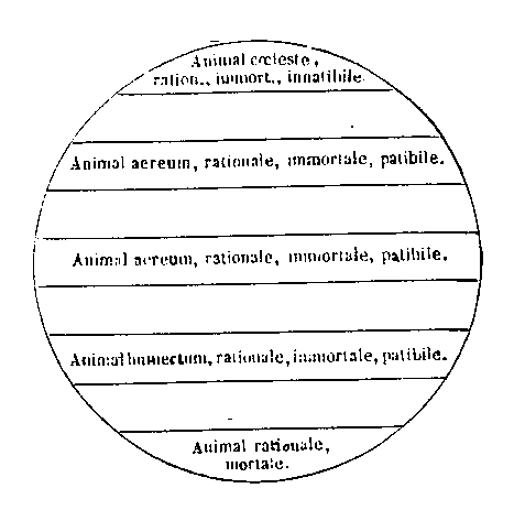 [Figura]