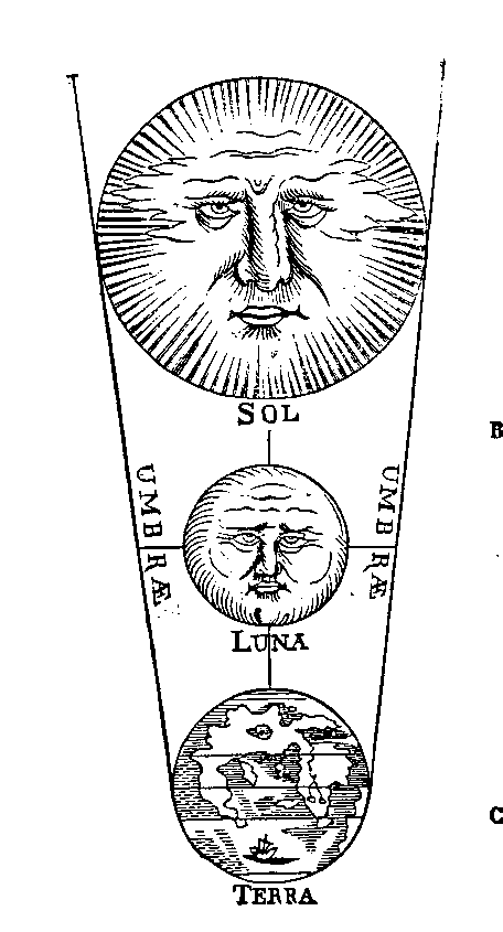 [Figura]