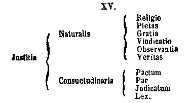 [Schema]