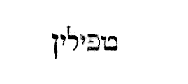 [Hebrew text]